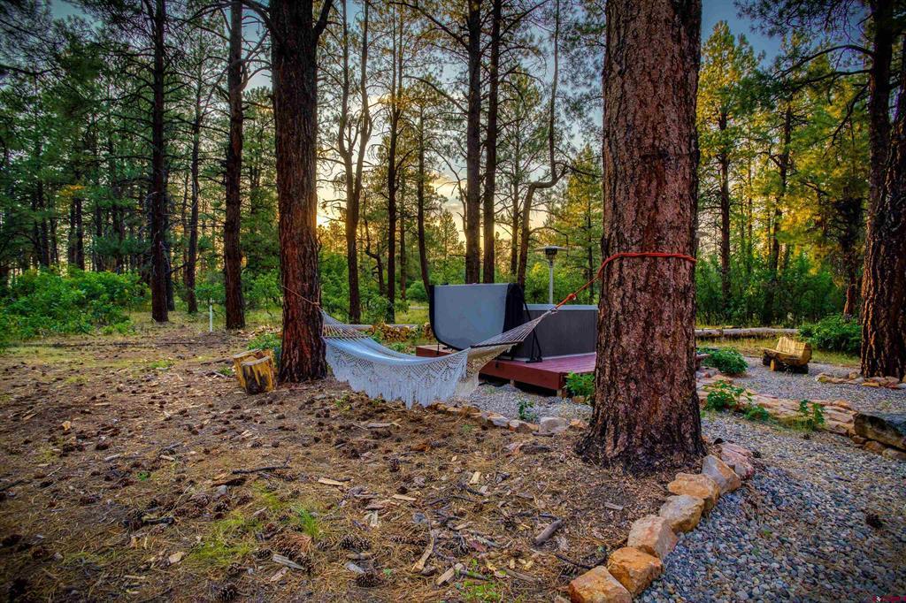 3700A County Road 600 Pagosa Springs CO 81147