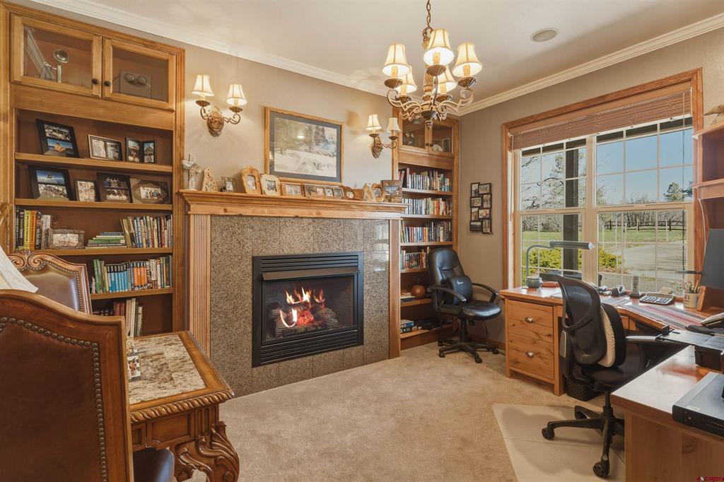 372 E Mccabe Street Pagosa Springs CO 81147