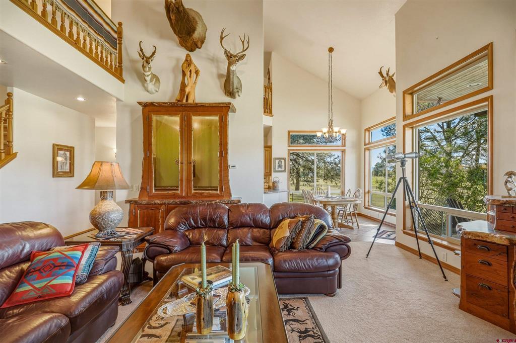 372 E Mccabe Street Pagosa Springs CO 81147