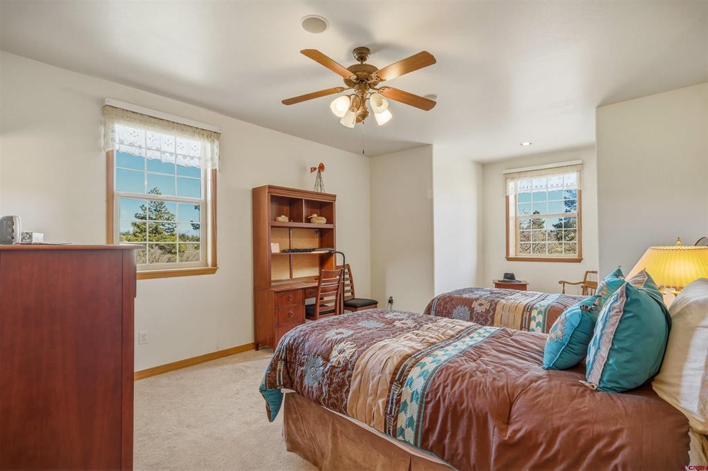 372 E Mccabe Street Pagosa Springs CO 81147