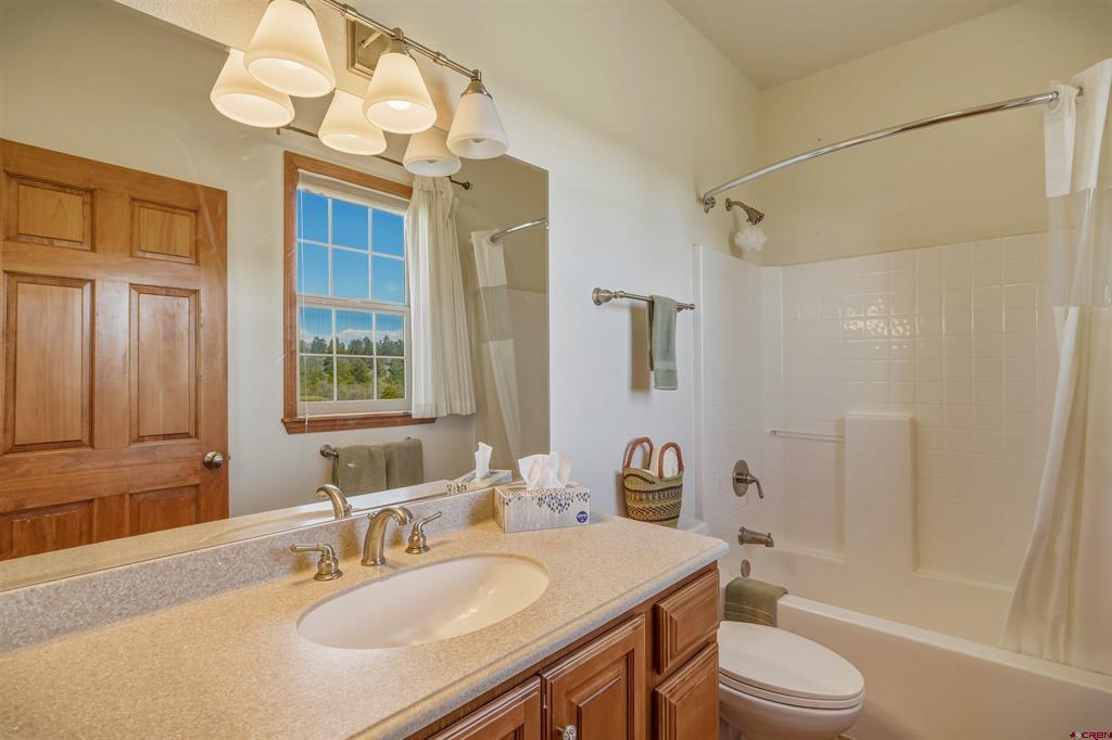 372 E Mccabe Street Pagosa Springs CO 81147