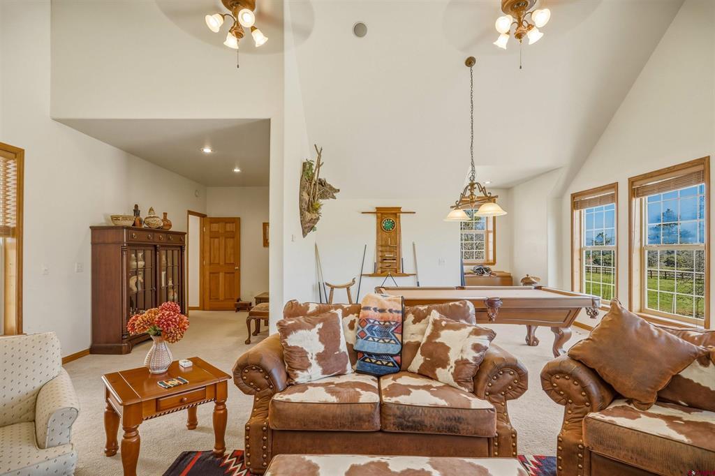 372 E Mccabe Street Pagosa Springs CO 81147