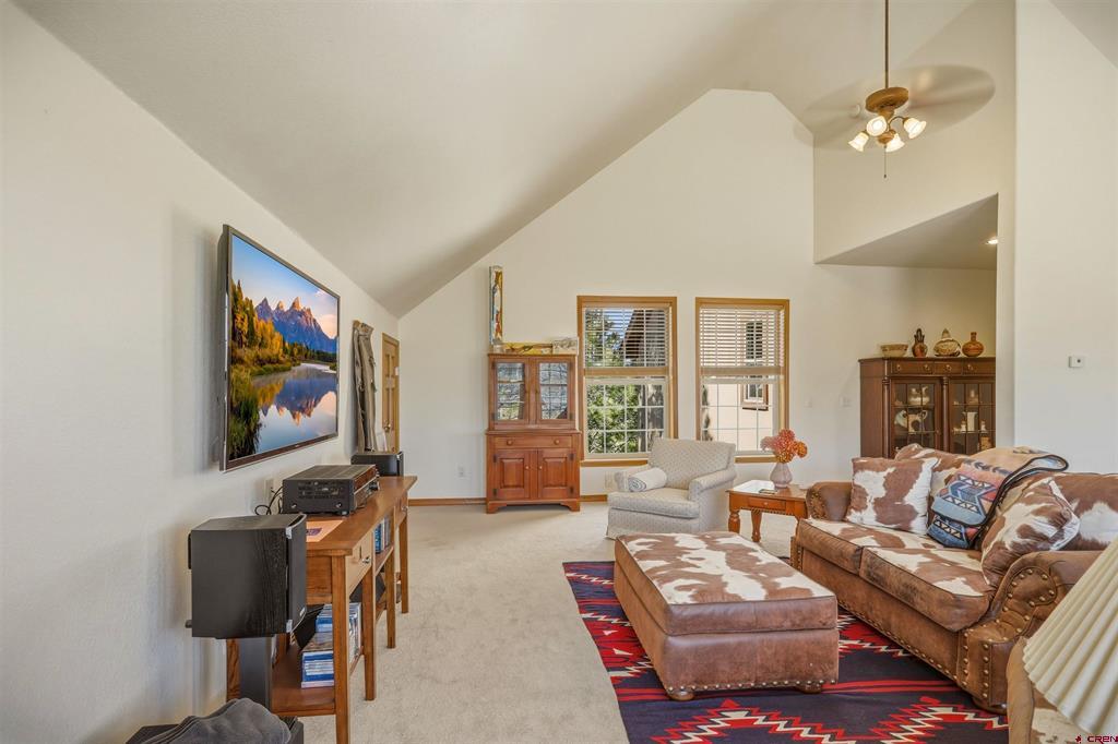 372 E Mccabe Street Pagosa Springs CO 81147