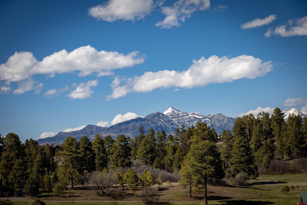 372 E Mccabe Street Pagosa Springs CO 81147
