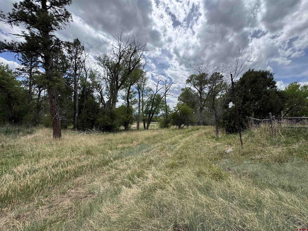 10929 Road 44 Mancos CO 81328