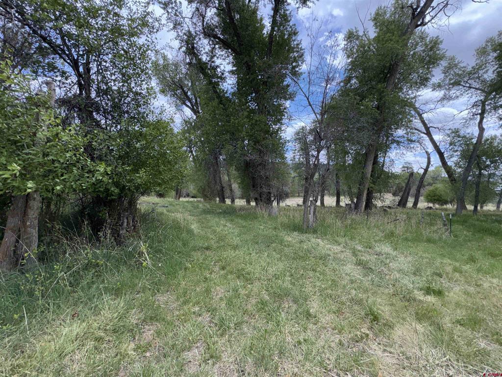 10929 Road 44 Mancos CO 81328