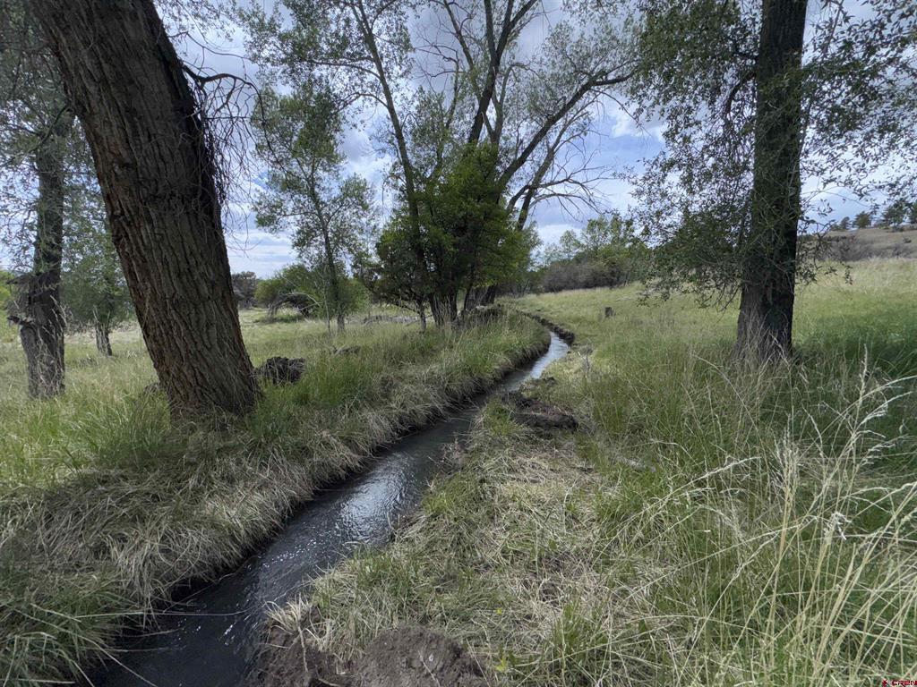 10929 Road 44 Mancos CO 81328