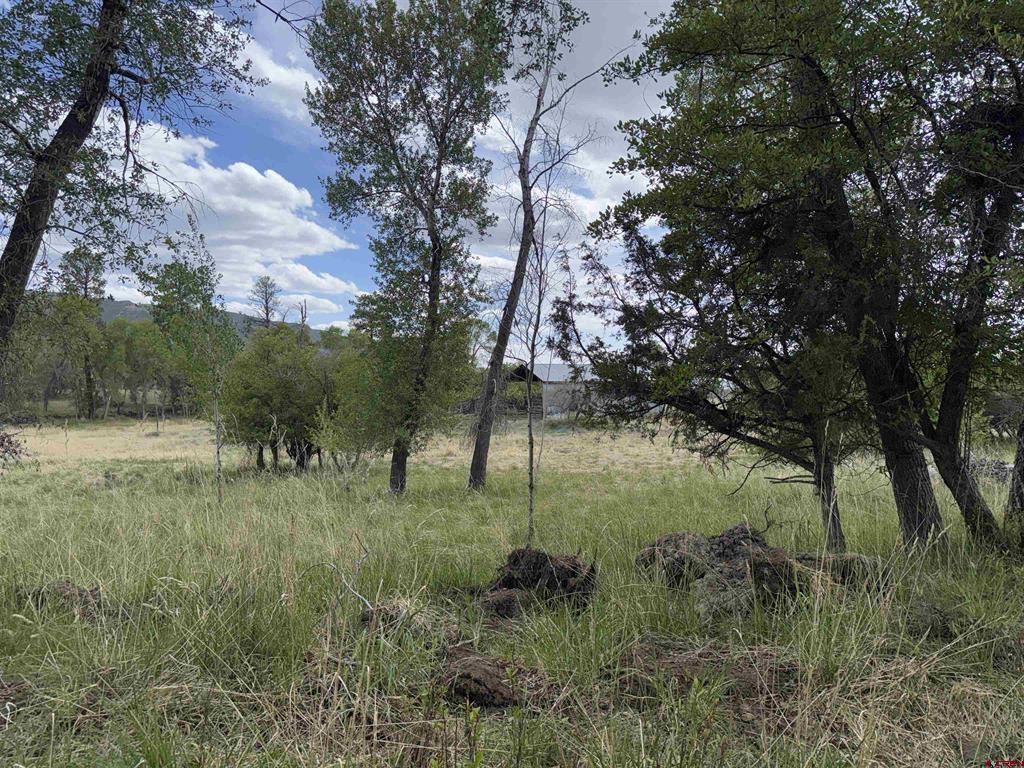 10929 Road 44 Mancos CO 81328