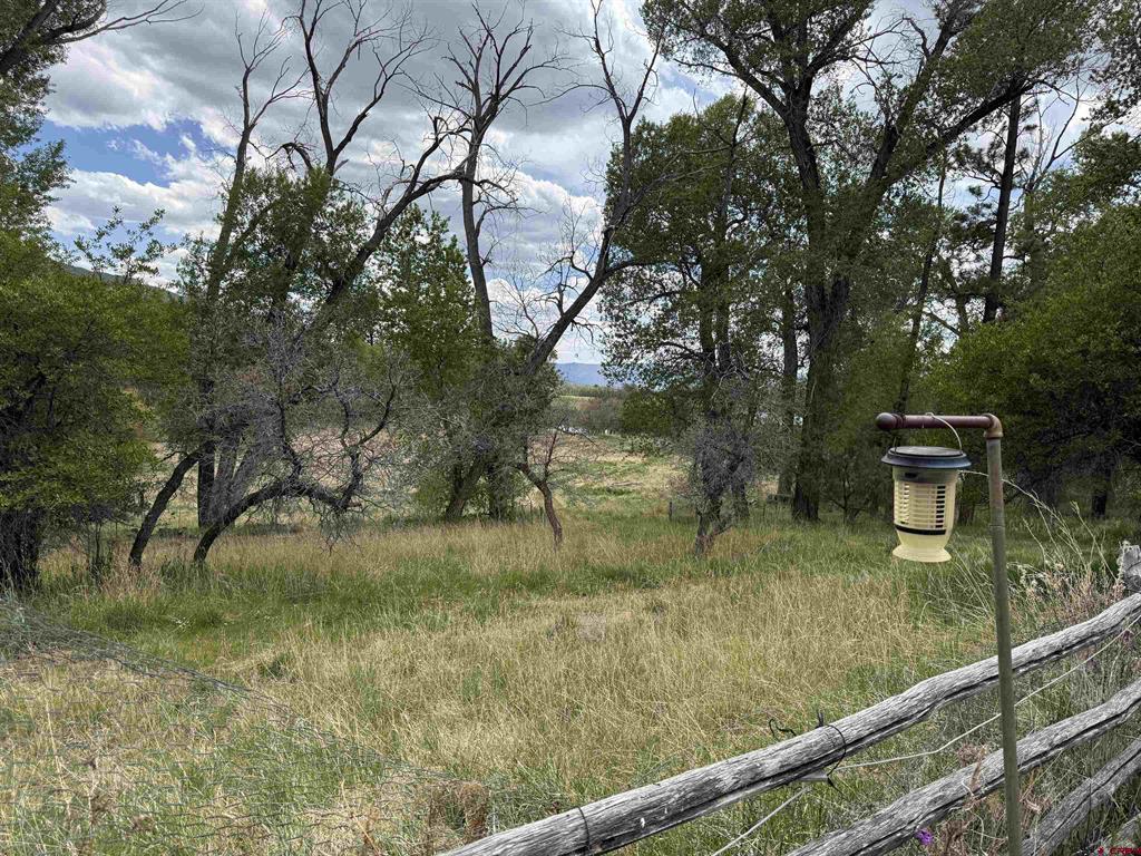 10929 Road 44 Mancos CO 81328