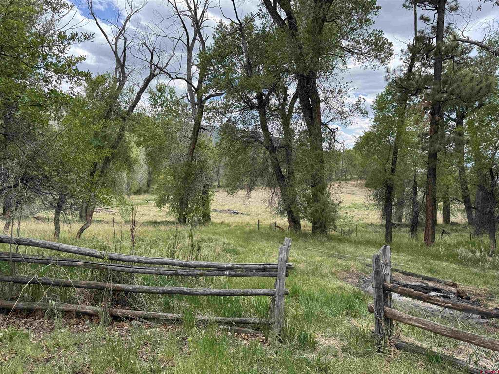 10929 Road 44 Mancos CO 81328
