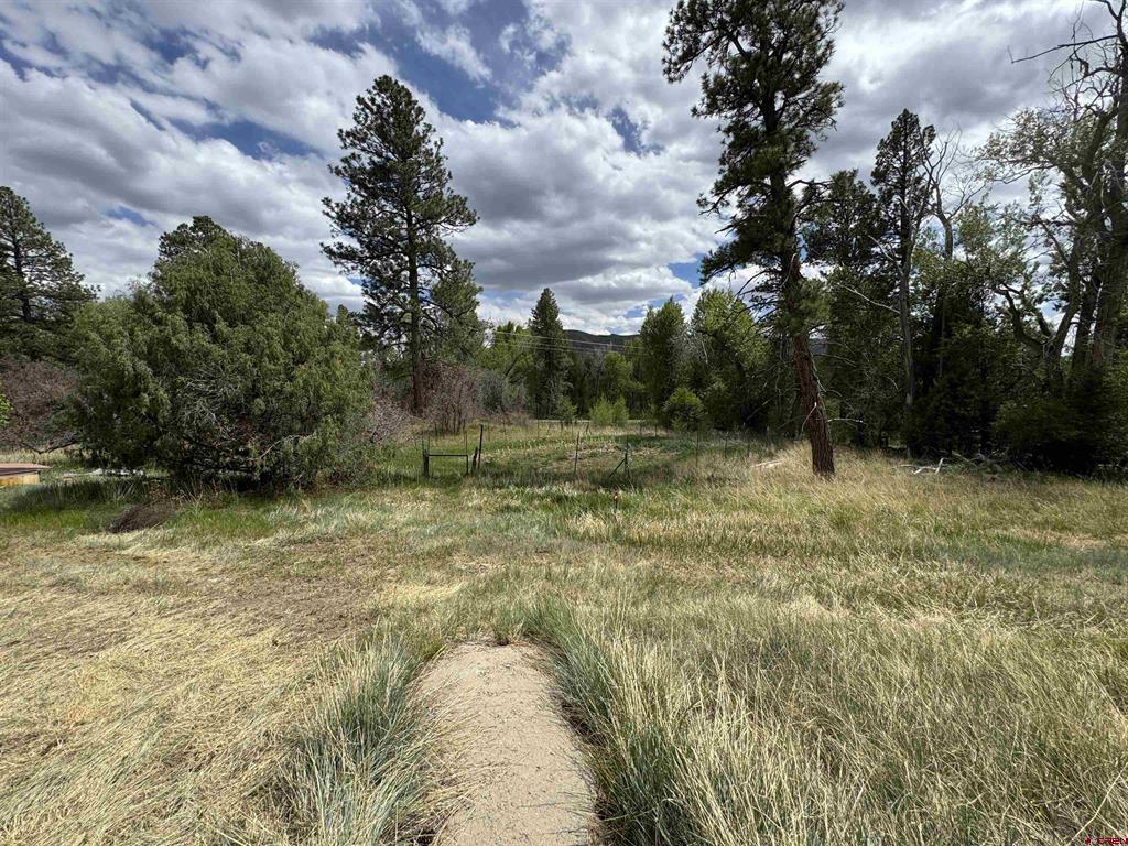 10929 Road 44 Mancos CO 81328