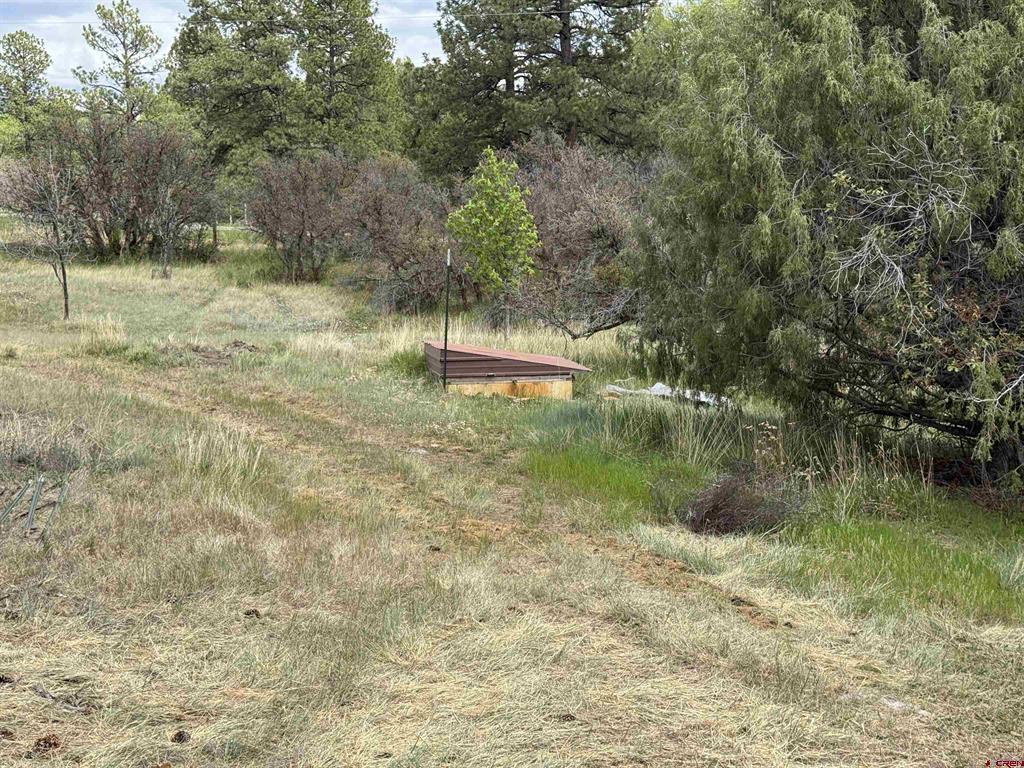 10929 Road 44 Mancos CO 81328