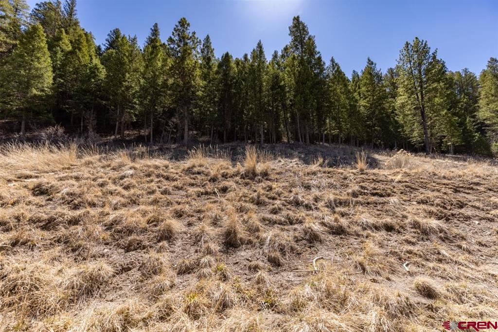102 Spring Creek Village Place Durango CO 81301