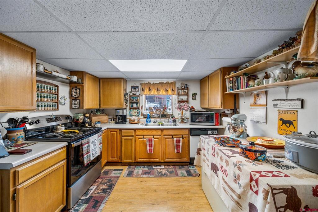 664 Greene Silverton CO 81433