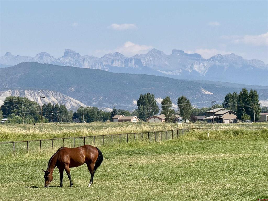 66176 Riverside Road Montrose CO 81403