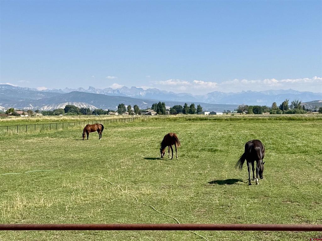 66176 Riverside Road Montrose CO 81403