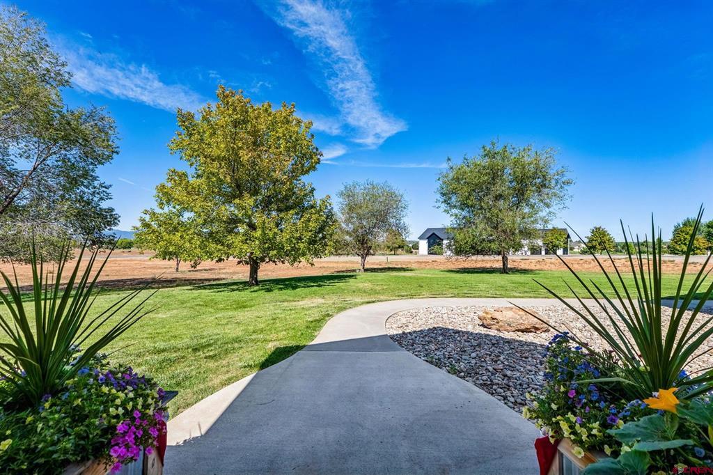 25589 Road N.6 Loop Cortez CO 81321