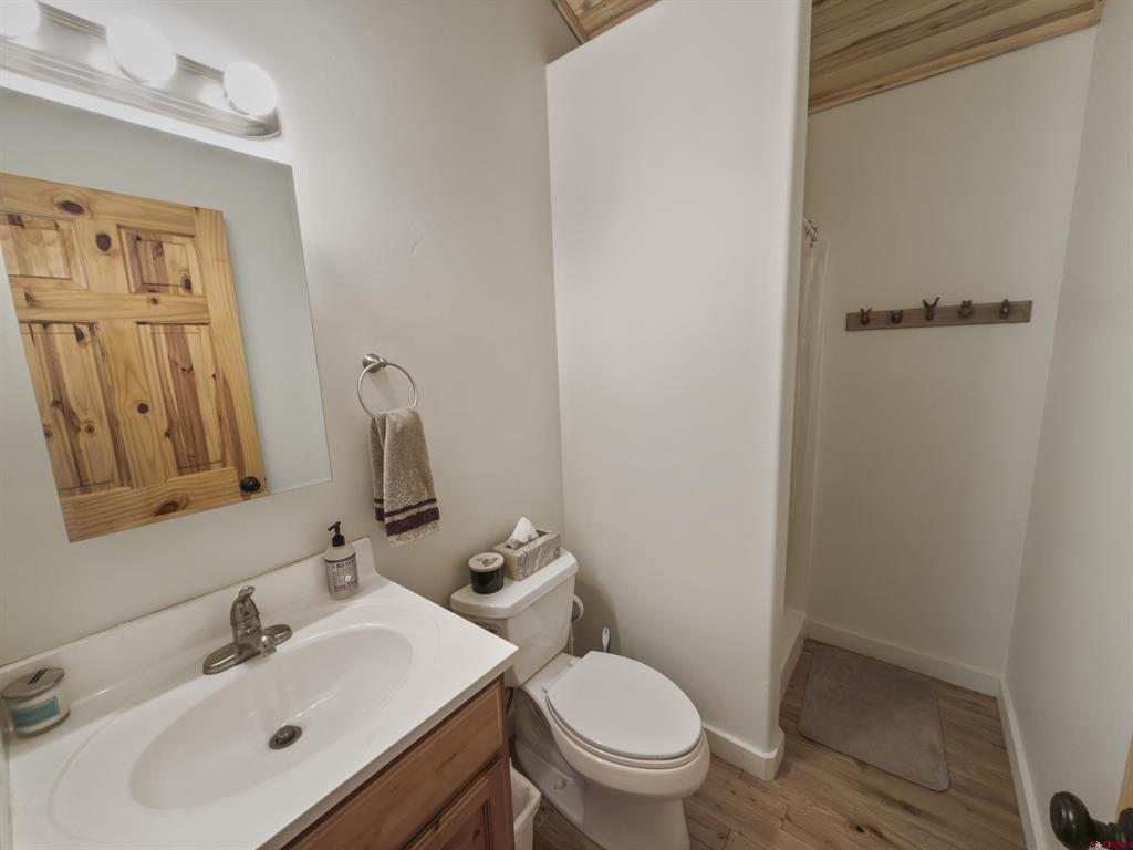 165 Guston Trail Ouray CO 81427