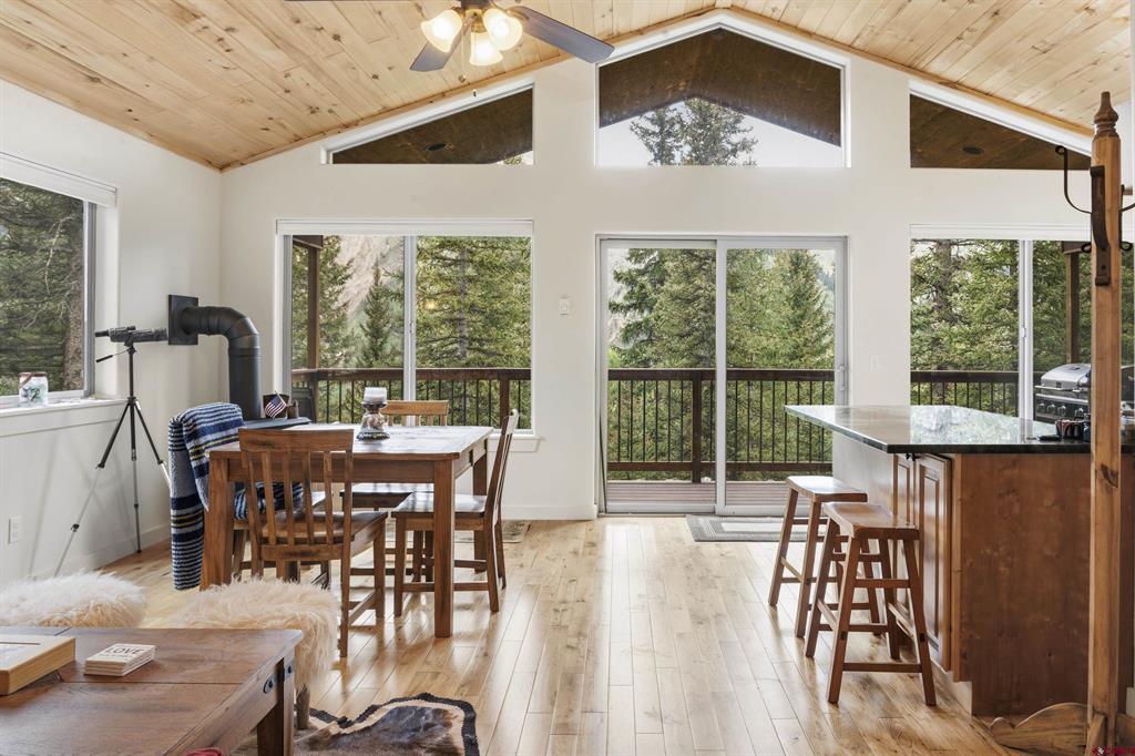 165 Guston Trail Ouray CO 81427