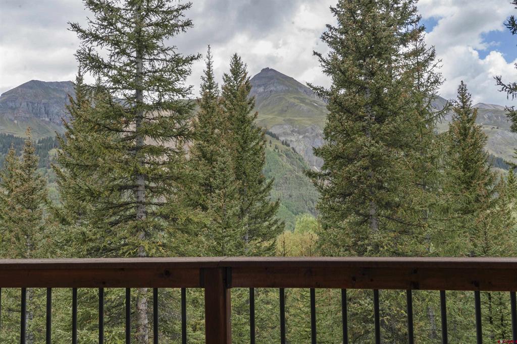 165 Guston Trail Ouray CO 81427