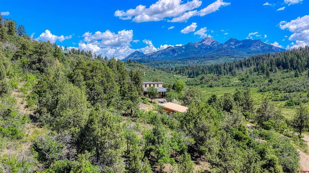 1124 Roush Drive Pagosa Springs CO 81147