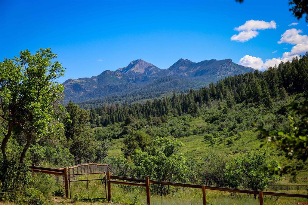 1124 Roush Drive Pagosa Springs CO 81147