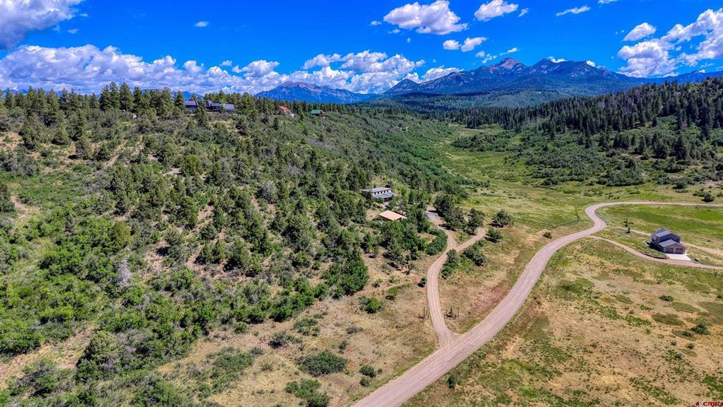 1124 Roush Drive Pagosa Springs CO 81147