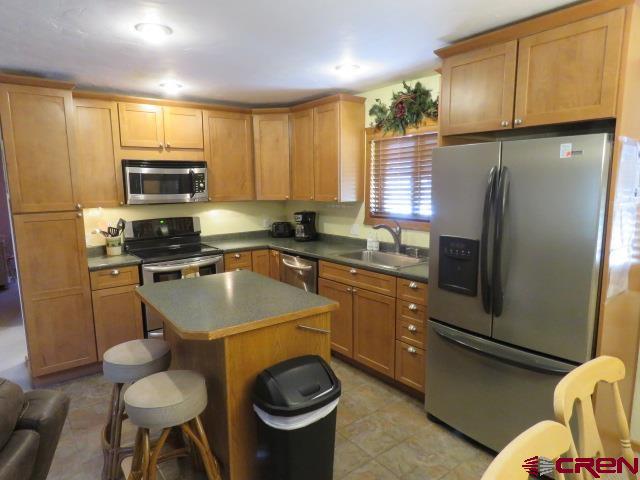 64 Conifer Drive South Fork CO 81154