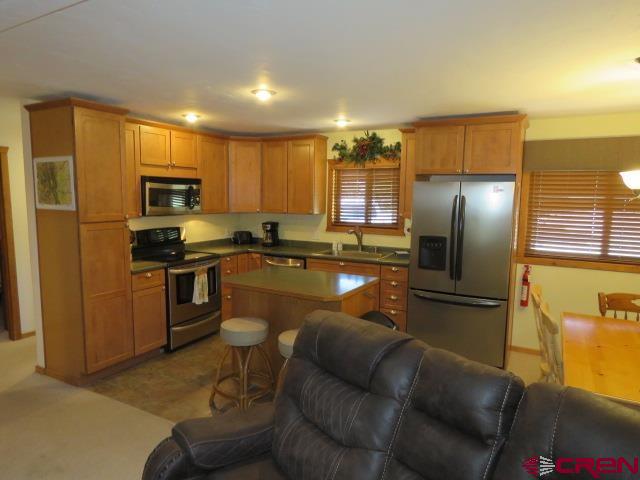 64 Conifer Drive South Fork CO 81154