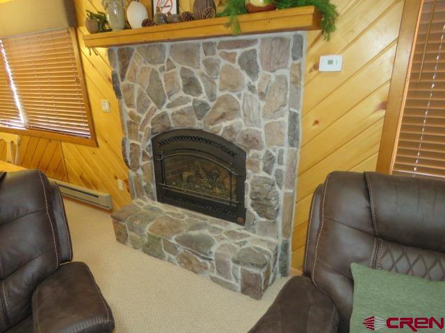 64 Conifer Drive South Fork CO 81154