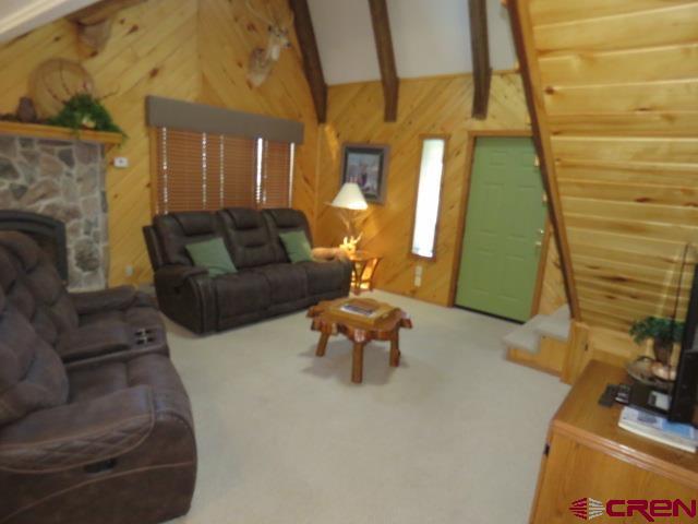 64 Conifer Drive South Fork CO 81154