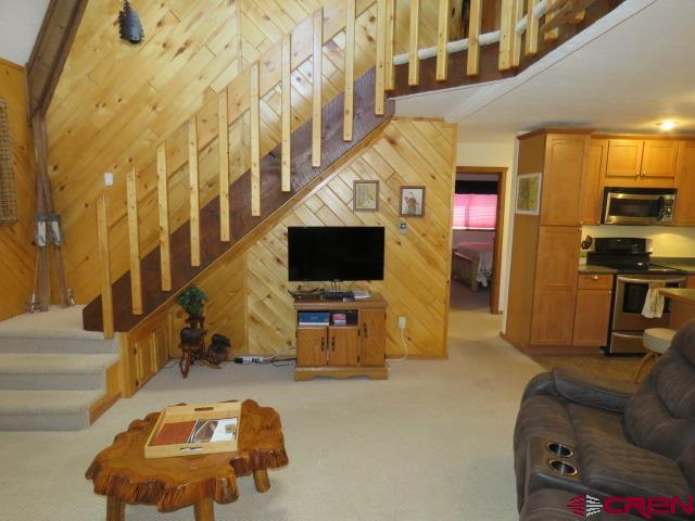 64 Conifer Drive South Fork CO 81154