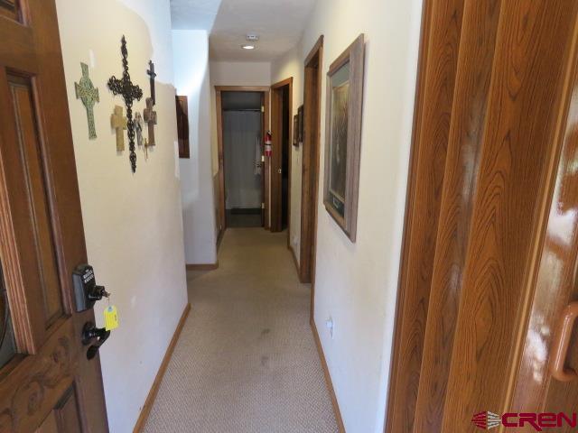 64 Conifer Drive South Fork CO 81154