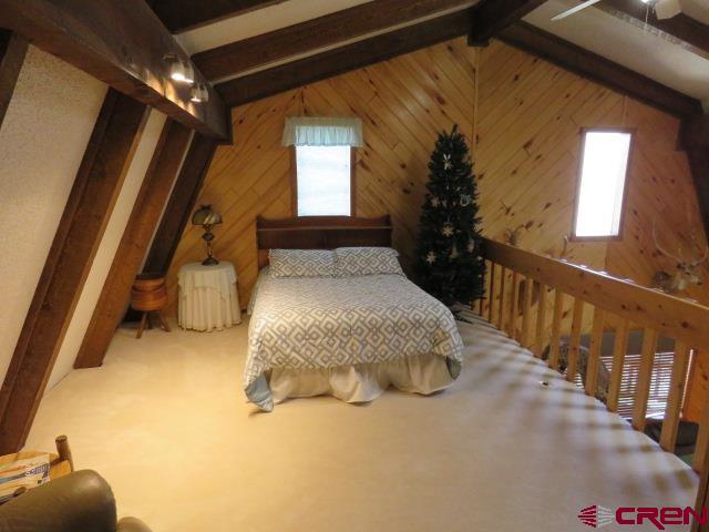 64 Conifer Drive South Fork CO 81154