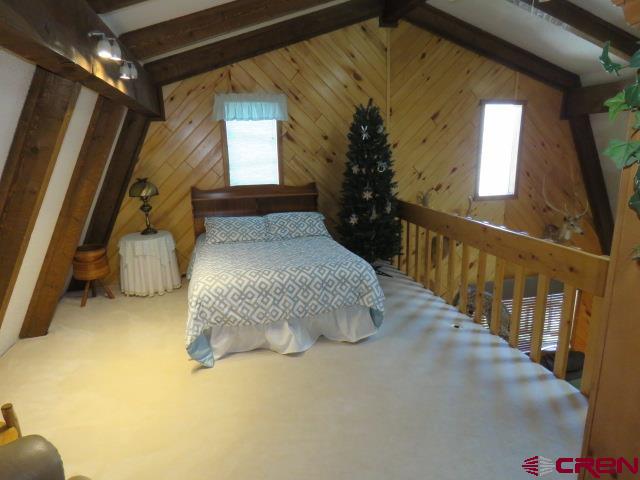 64 Conifer Drive South Fork CO 81154