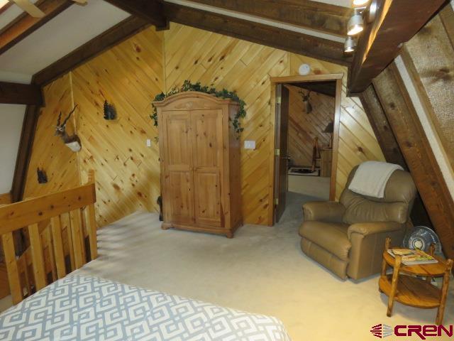 64 Conifer Drive South Fork CO 81154