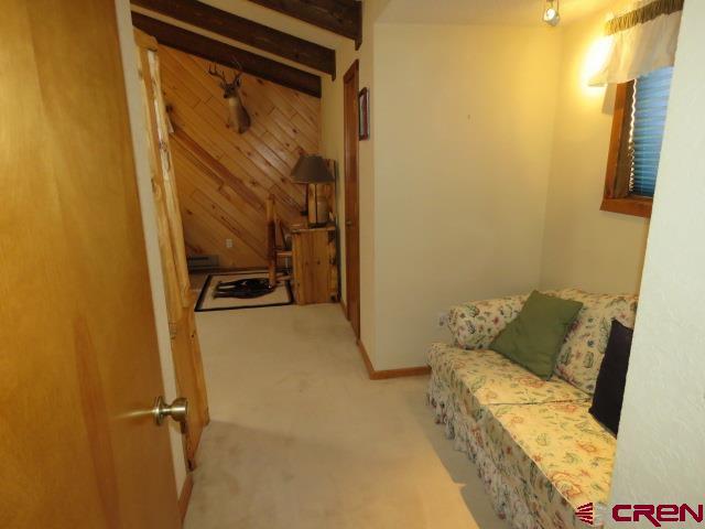 64 Conifer Drive South Fork CO 81154
