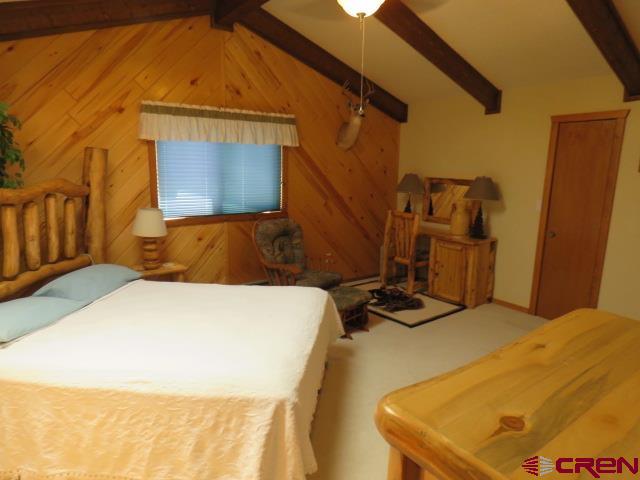 64 Conifer Drive South Fork CO 81154