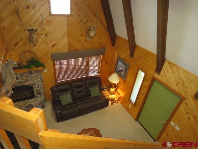 64 Conifer Drive South Fork CO 81154