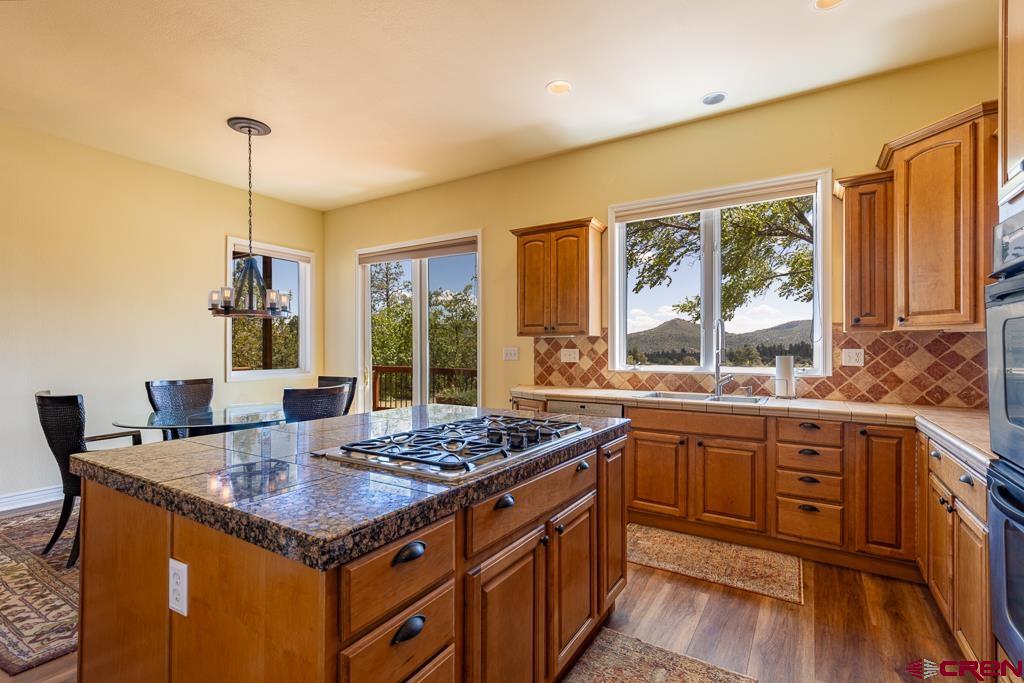 337 Zane Drive Durango CO 81303