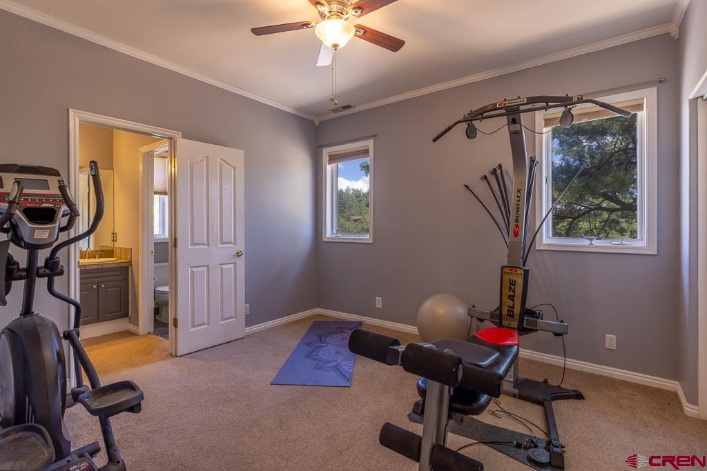 337 Zane Drive Durango CO 81303