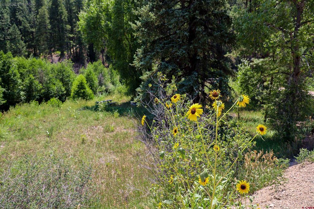 101 County Road 339 Pagosa Springs CO 81147