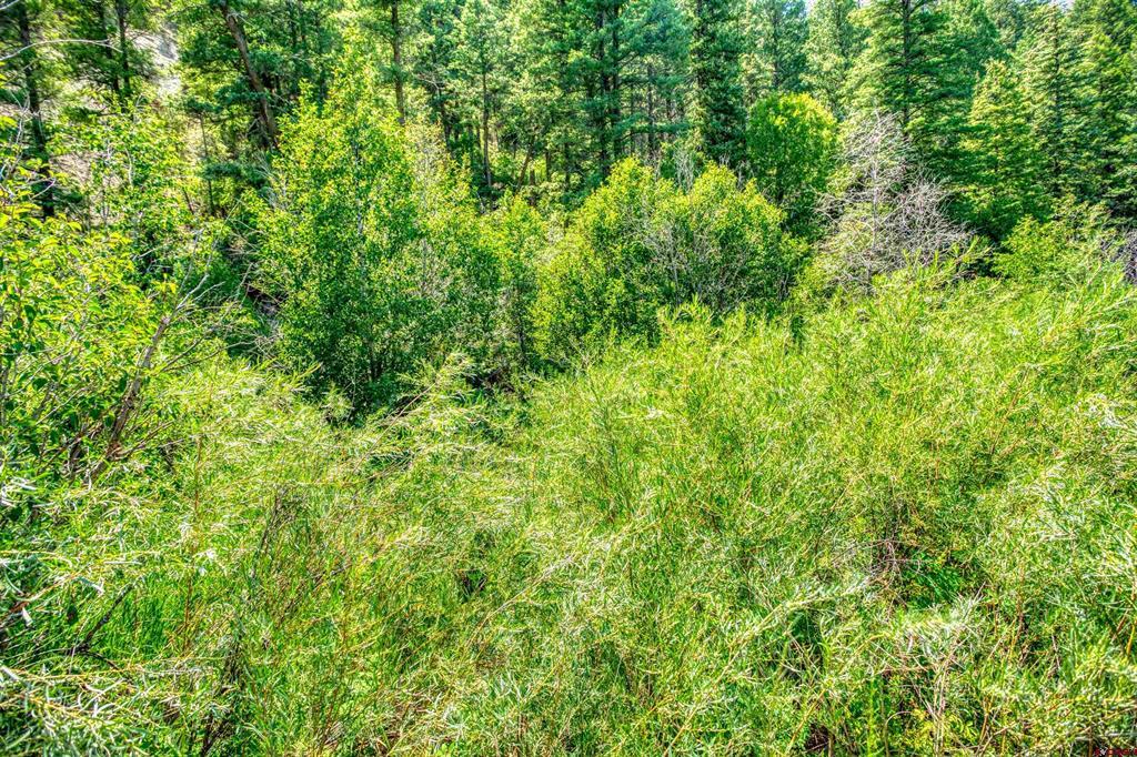 101 County Road 339 Pagosa Springs CO 81147