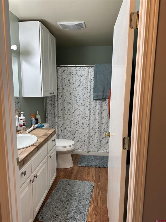 114 Spruce Court Ouray CO 81427