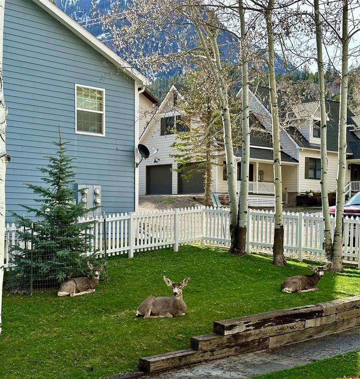 114 Spruce Court Ouray CO 81427