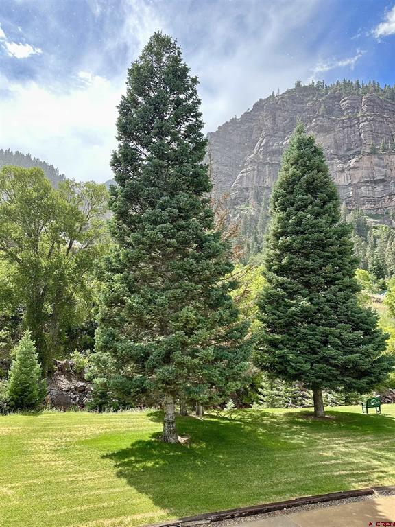 114 Spruce Court Ouray CO 81427