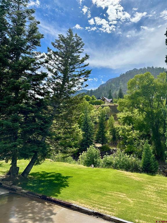 114 Spruce Court Ouray CO 81427