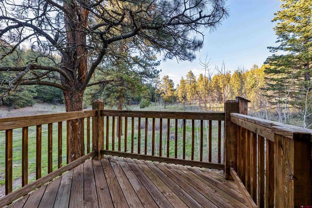885 Puma Place Pagosa Springs CO 81147