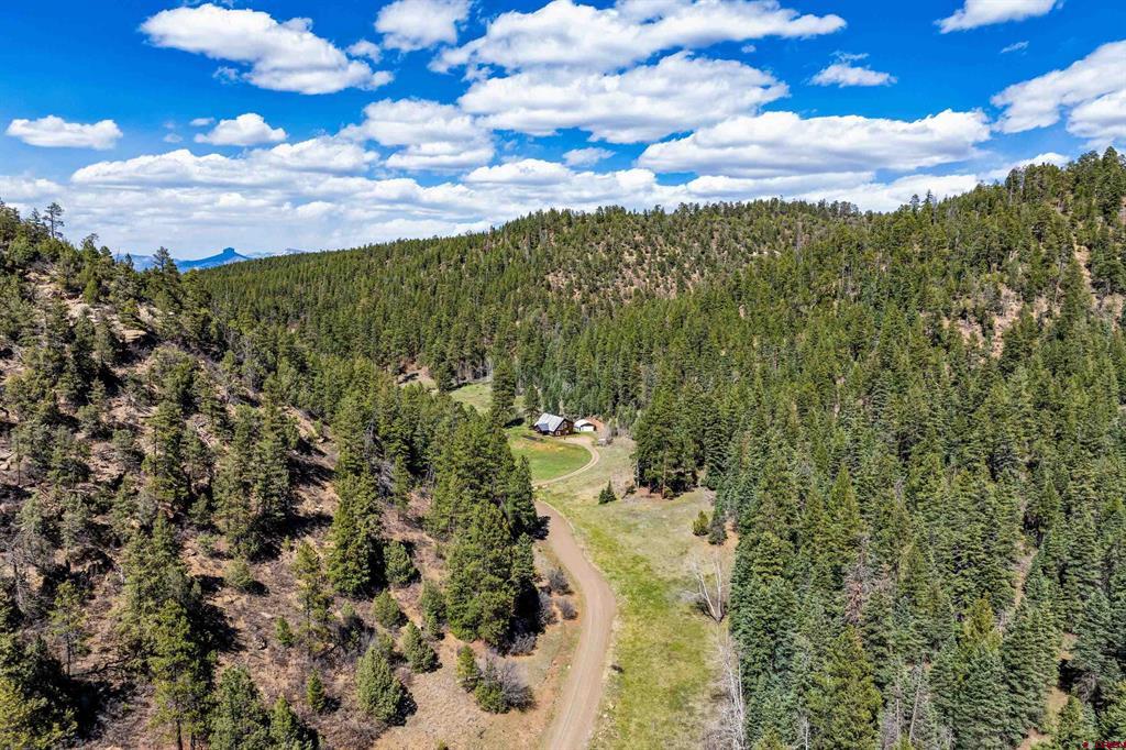 885 Puma Place Pagosa Springs CO 81147