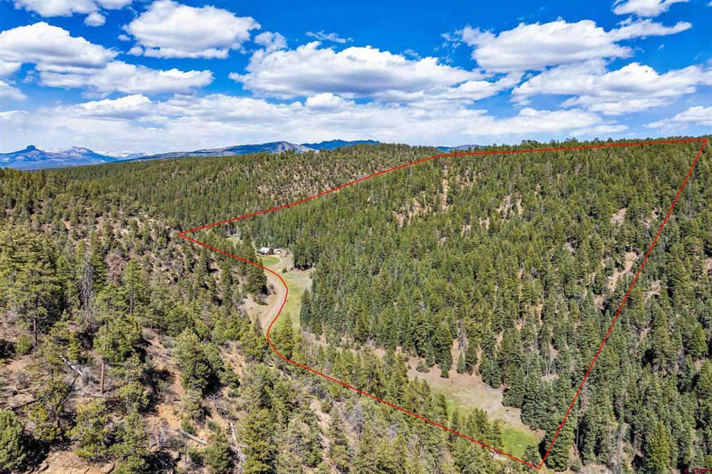 885 Puma Place Pagosa Springs CO 81147